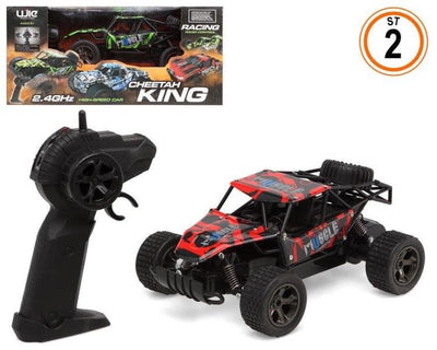 COCHES 31X19 R/C