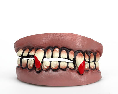 BL. DENTADURAS  6X4 CM PVC 2 ST.