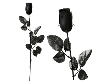EXP/ - ROSAS 53CM PVC NEGRO 24