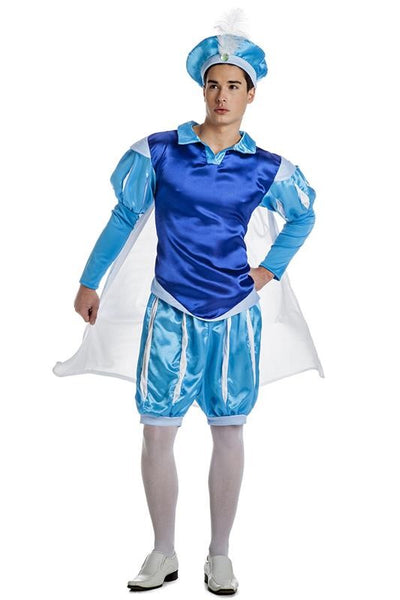 DISFRAZ PRINCIPE AZUL M-L