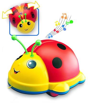 LADY BUG