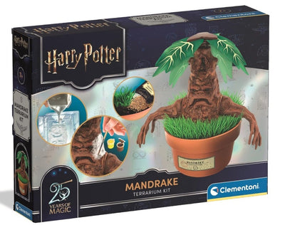 Harry Potter - Mandrágora