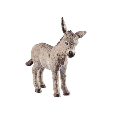 FIGURA BORRIQUILLO
