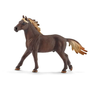 Semental mustang