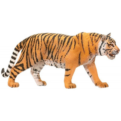 Tigre
