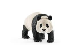 Oso panda gigante macho