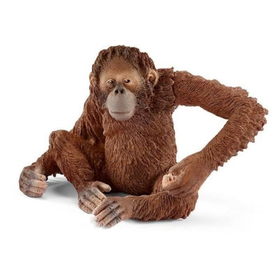Orangután hembra